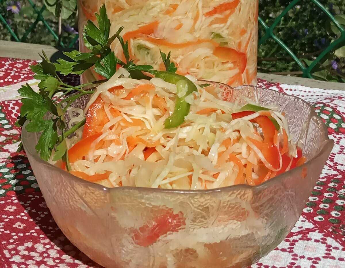 Салат из свежей капусты - 20 вкусных рецептов на каждый день
