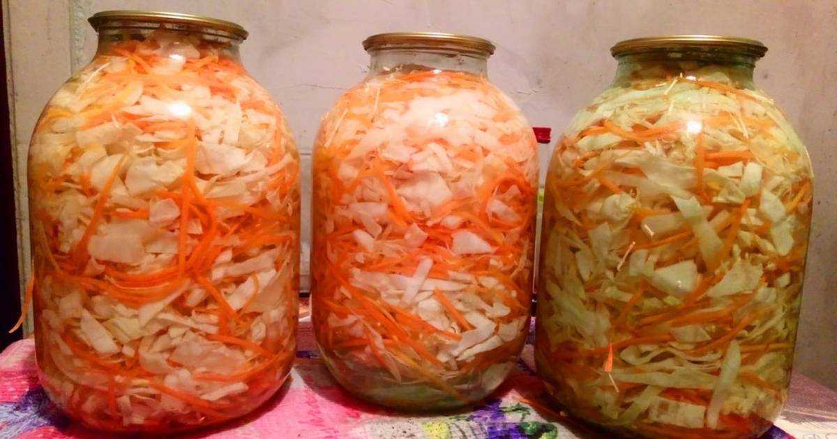 Квашеная капуста на зиму – очень вкусные рецепты
