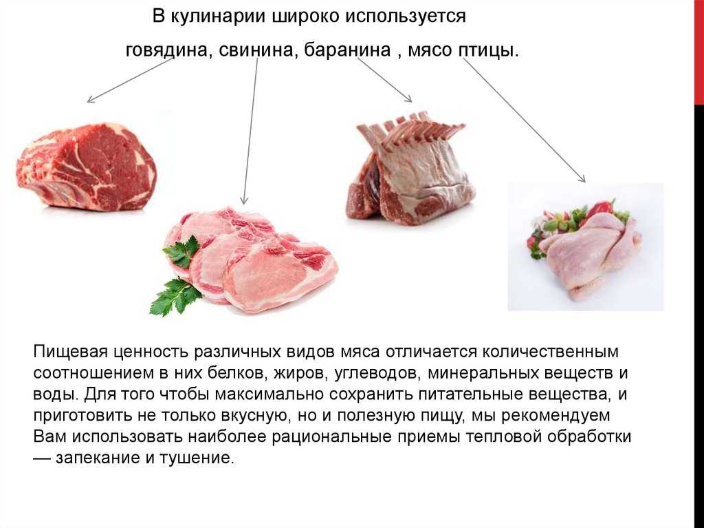 Как отличить мясо. Как выбирать говядину правильно на рынке. Как выбрать мясо. Как выбрать мясо баранины на рынке. Как отличить мясо свинины от говядины.