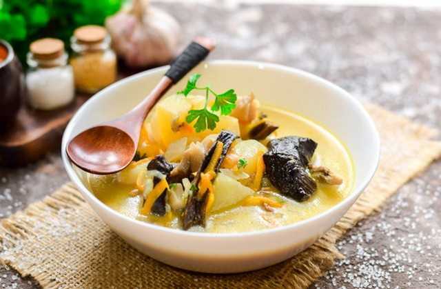 Суп из сушеных грибов: полезные советы и топ-4 рецепта
