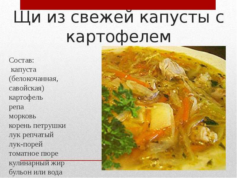 Рецептура щей из свежей капусты