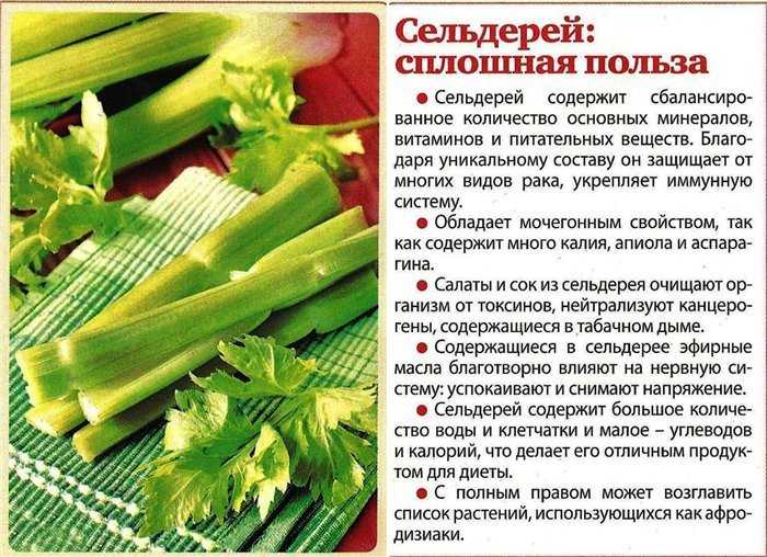 Как приготовить сок из сельдерея: 14 шагов