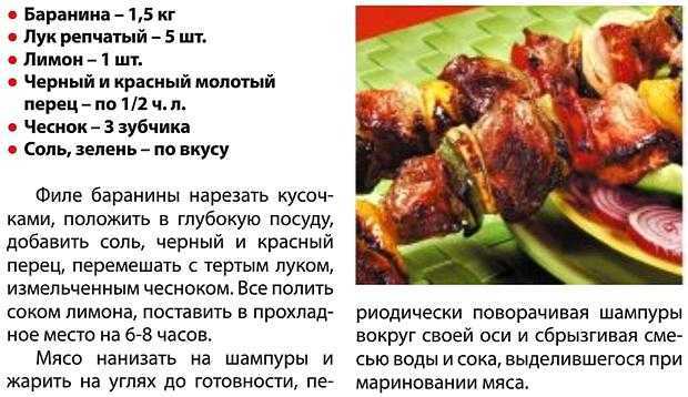 Маринад для шашлыка из свинины — 17 лучших рецептов, чтобы мясо было мягким и сочным