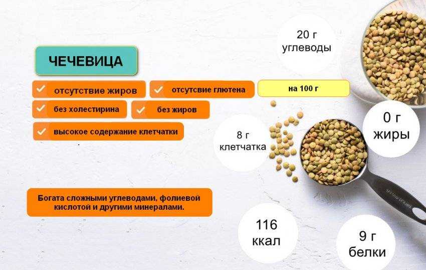 Чечевица – состав, калорийность, полезные свойства и вред