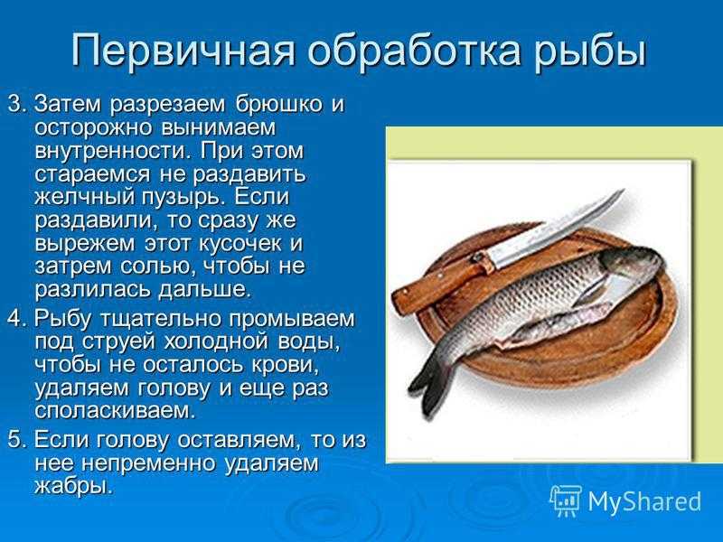 Тест обработка рыбы. Обработка рыбы. Обработка рыбы и морепродуктов. Обработка рыбы презентация. Кулинарная обработка рыбы.