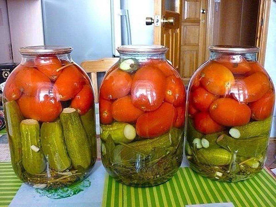 12 лучших рецептов маринованных огурцов на зиму: простые, вкусные, хрустящие