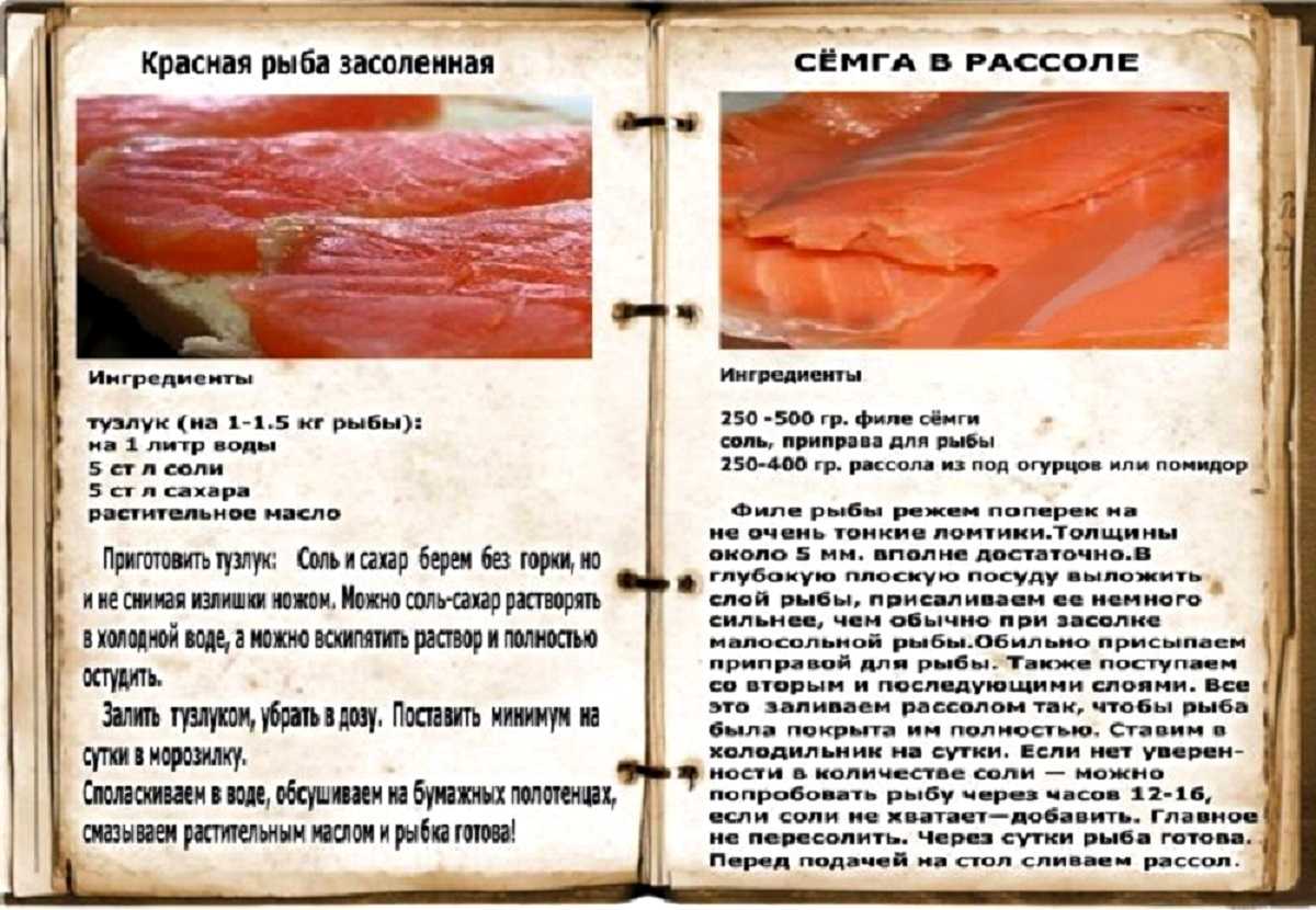 Как засолить семгу кусочками в домашних условиях. солим вкусно с фото