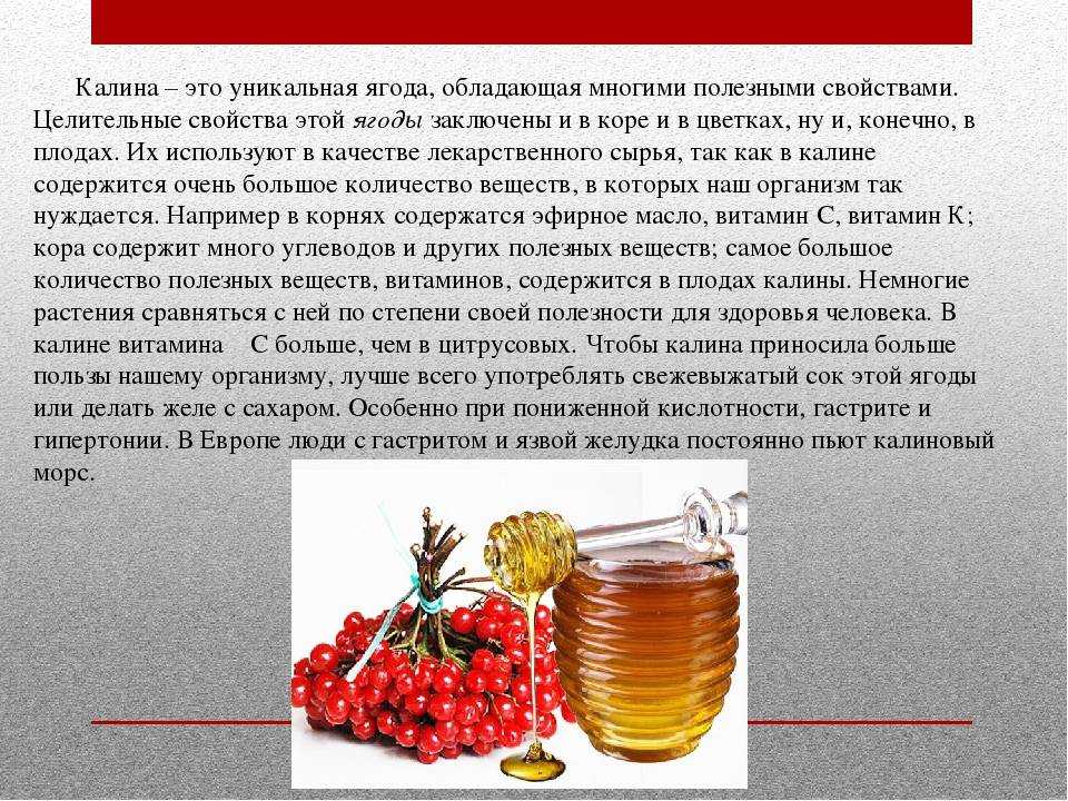 Красный творог (кызыл эремсек): ингредиенты, рецепт, время приготовления