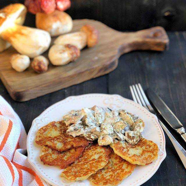 Картофельные драники с грибами: рецепты приготовления с пошаговыми фото