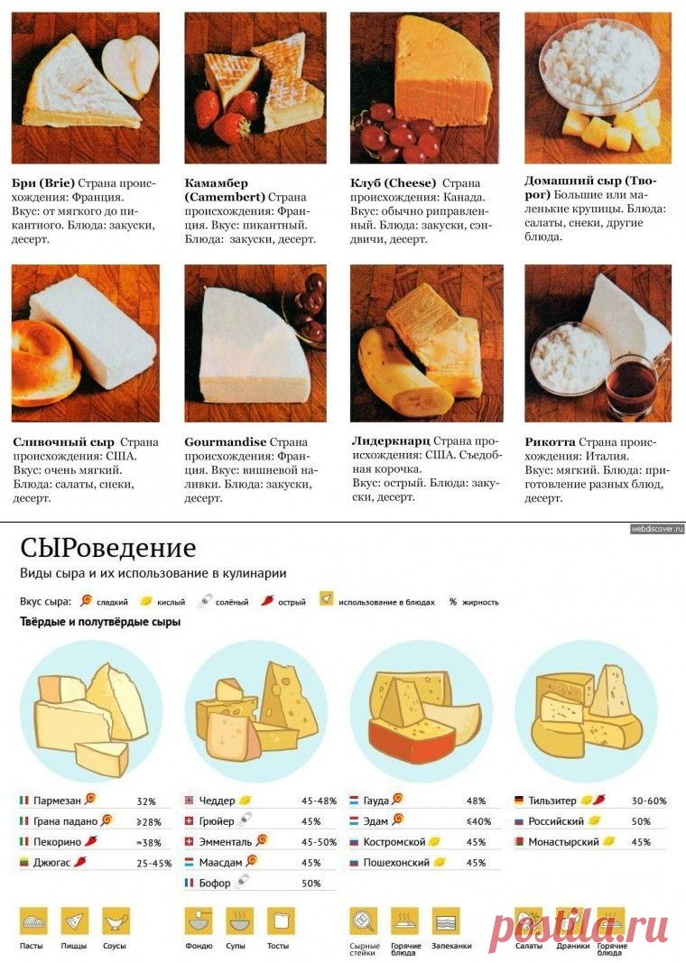 Сорта и виды мягких сыров - названия, фото и описания