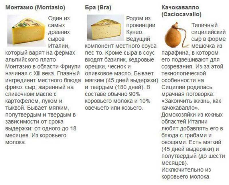 Пармезан – король сырного мира