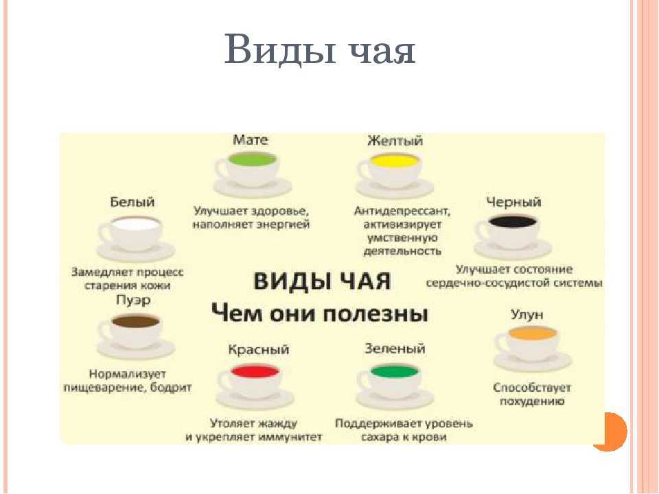 Чем полезен зеленый чай для женщин и мужчин, его возможный вред
