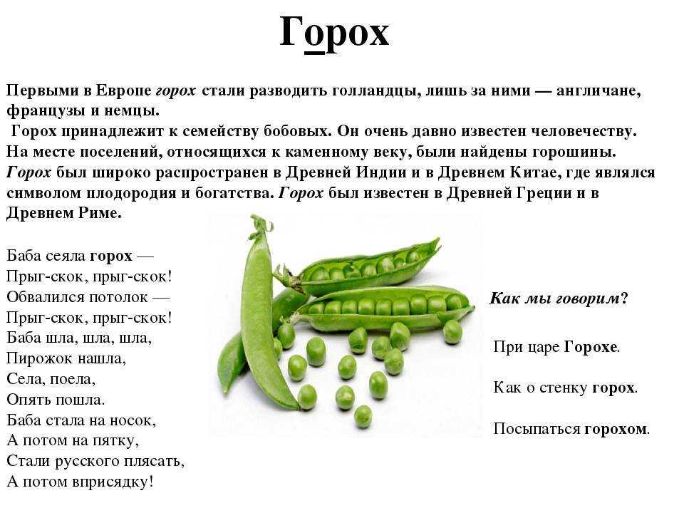 Рагу с брокколи баклажанами и кабачком
