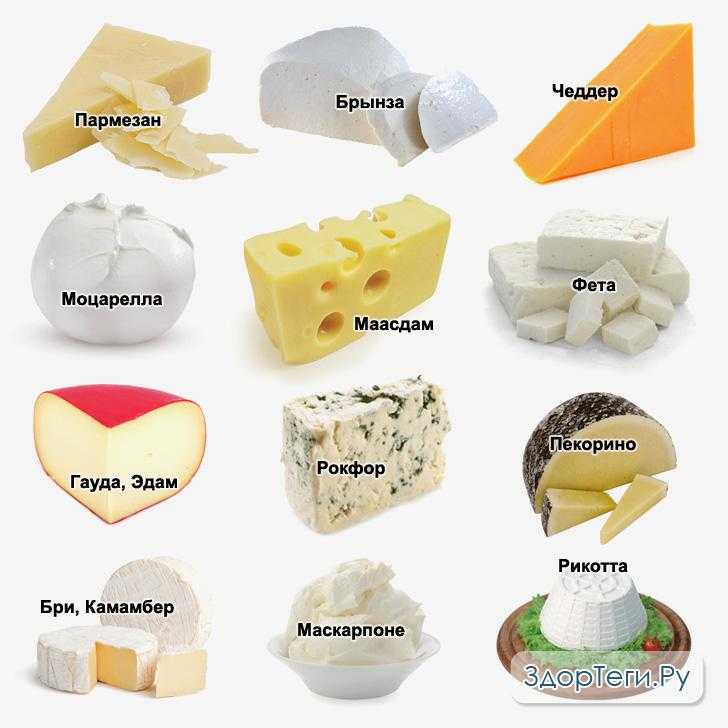 Твердые сорта сыра: названия, фото и описания (список)