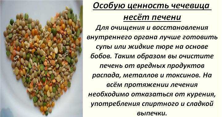 Как приготовить чечевицу: рецепты вкусных супов, котлет и пюре