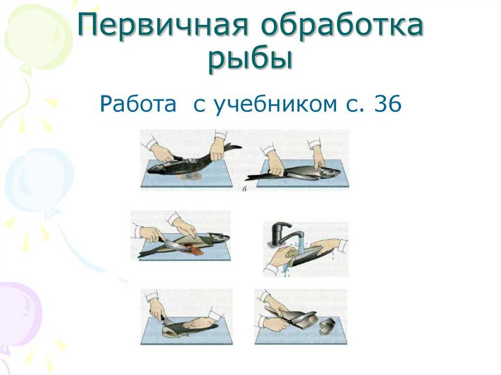 Разделка и обработка рыбы