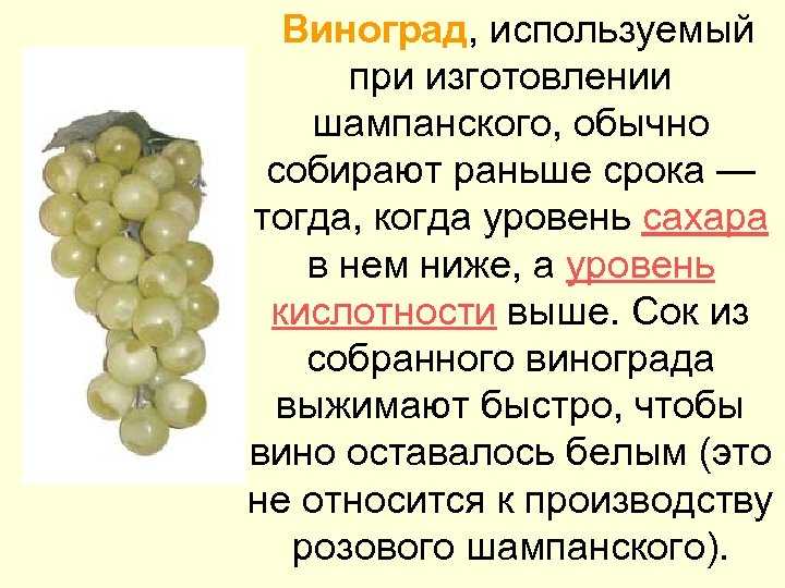 Настоящее шампанское и его разновидности
