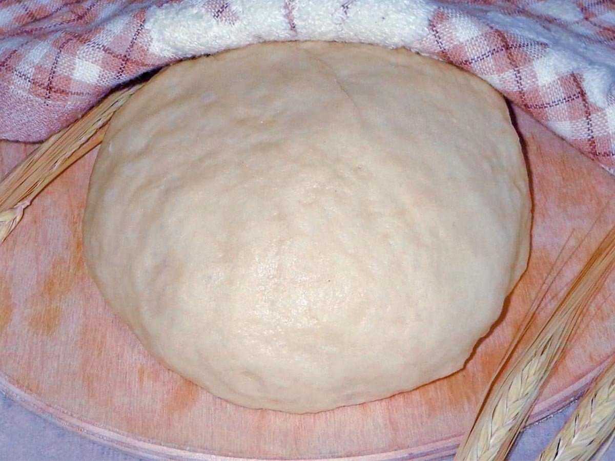 Дрожжевое тесто на молоке, как пух. 5 вкусных и простых рецептов на пироги