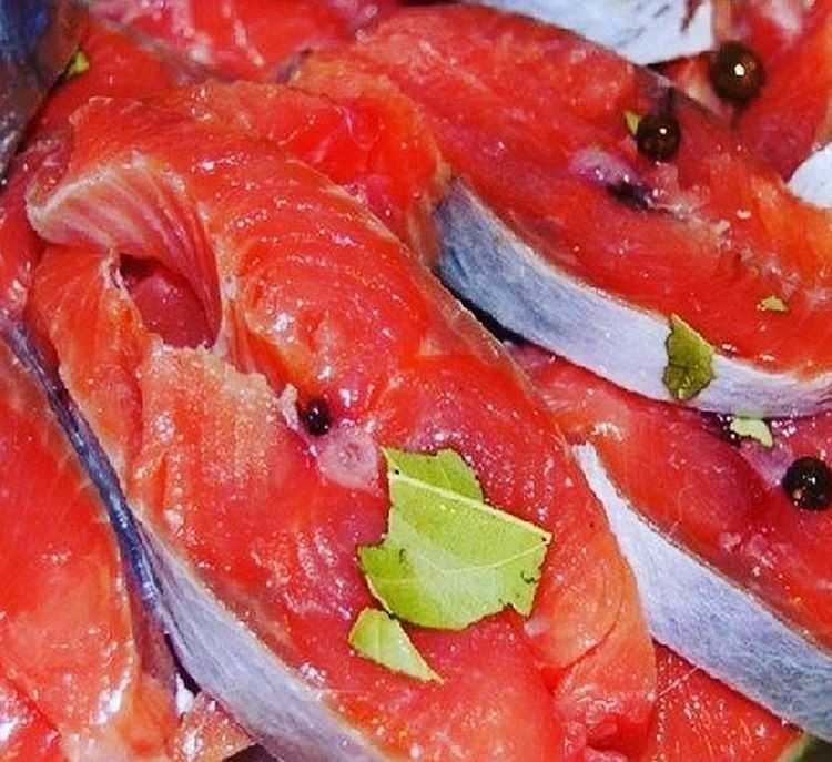Как засолить горбушу — 7 вкуснейших и быстрых рецептов посола в домашних условиях