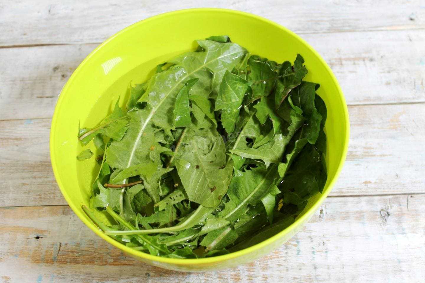 Салат из листьев одуванчика. Зелень для салатов. Салатные листья. Листья одуванчика в салат. Салат из листьев.