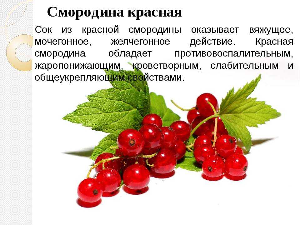 Компот из красной смородины на зиму - 3 простых рецепта