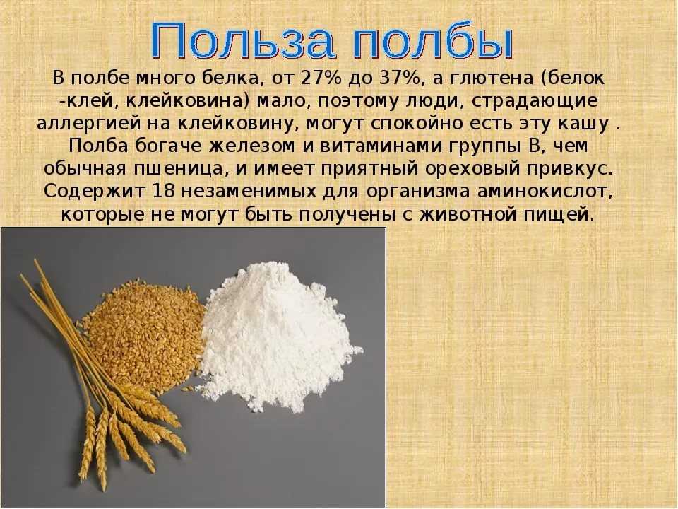 Что такое полба польза и вред для организма, лучшие производители полбы в 2023 году