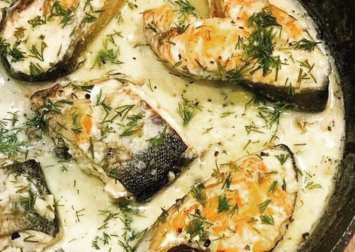 Белая рыба запеченная: как вкусно приготовить белую рыбу: 6 рецептов — будет вкусно! — надежда россии