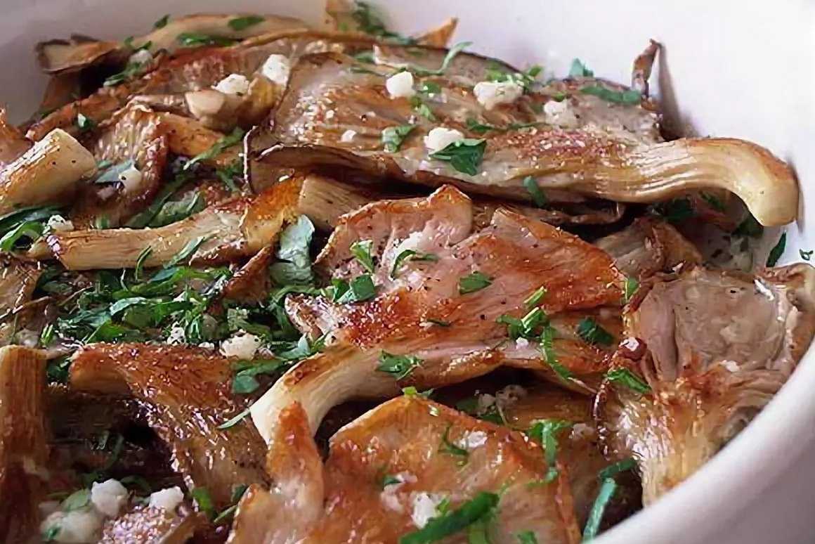 Грибы вешенки - как вкусно приготовить: рецепты, описание, полезные свойства