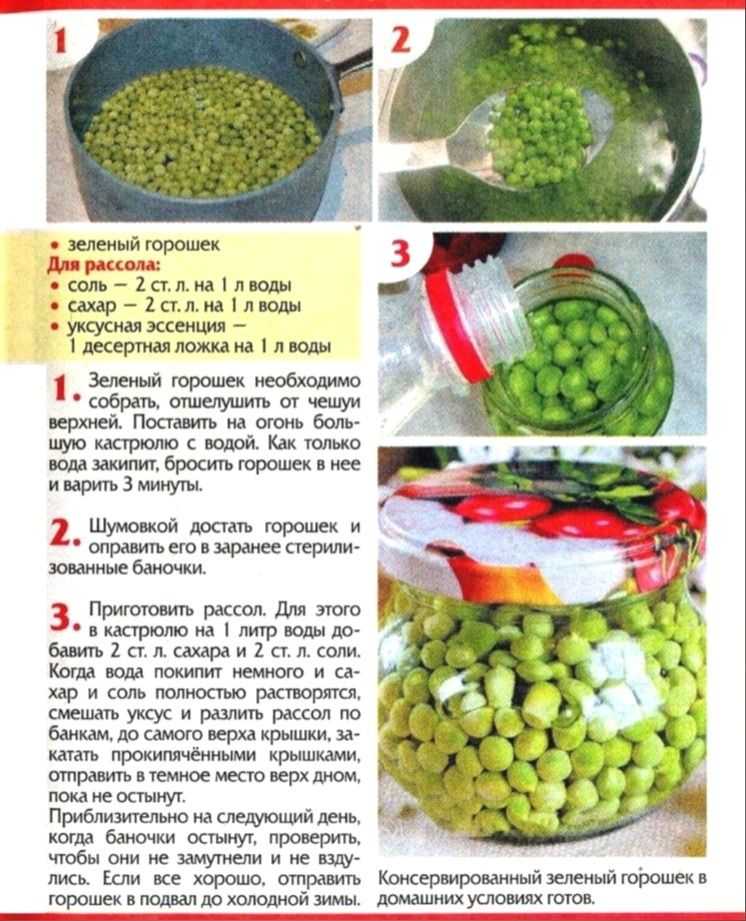 Как консервировать зеленый горошек в домашних условиях: 10 вкусных и простых рецептов на зиму