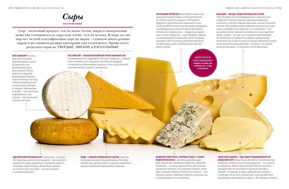 Самые популярные и вкусные твердые сорта сыра: название, описание