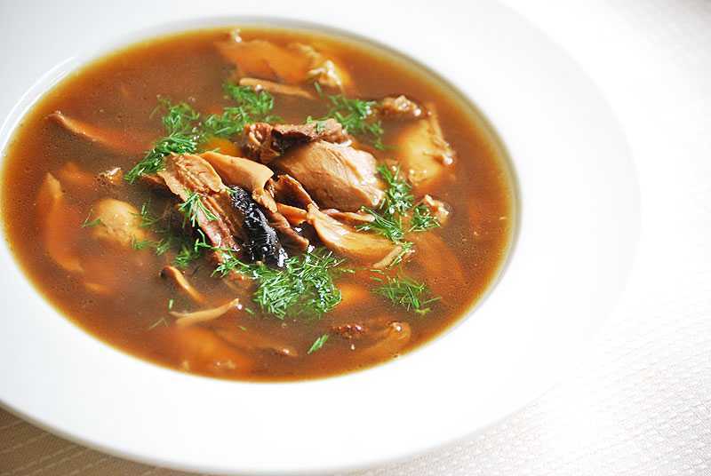 Суп из сушеных грибов — лучшие рецепты. как правильно и вкусно сварить суп из сушеных грибов.
