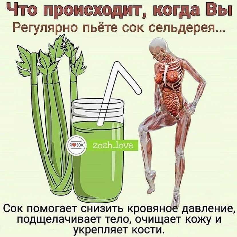 Морковно-сельдереевый фреш - состав, свойства
