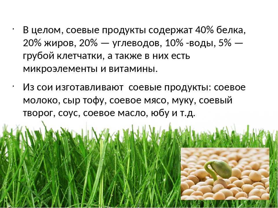 Соя