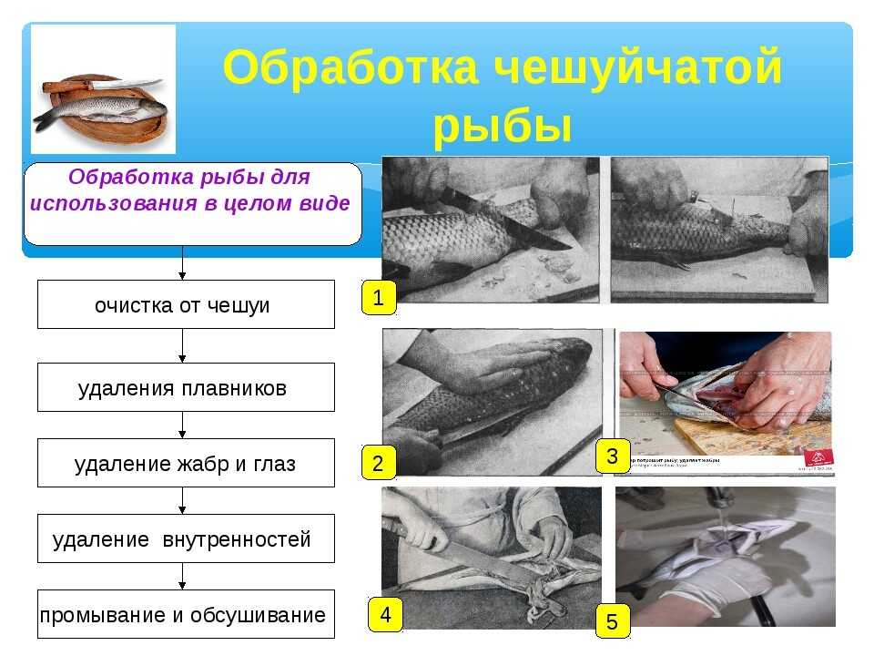 Организация обработки рыбы