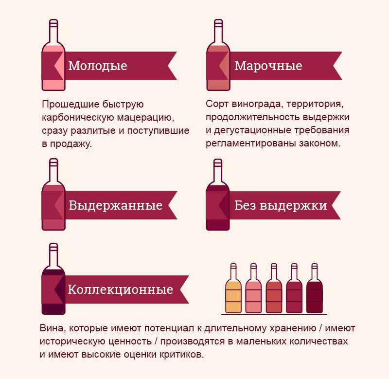 Красное или белое вино: что полезнее с научной точки зрения?