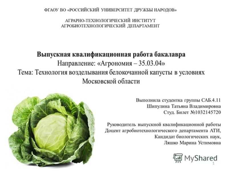 Рис с курицей и цветной капустой