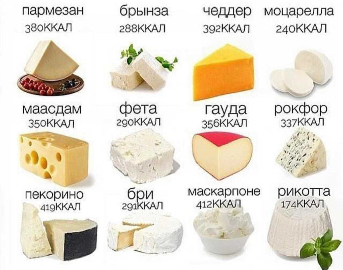 Паста фарфалле с зеленью и сырами чеддер и пармезан отлично смотрится на обеденном столе А карри придаёт блюду отличный золотистый оттенок и добавляет аппетитности аромату