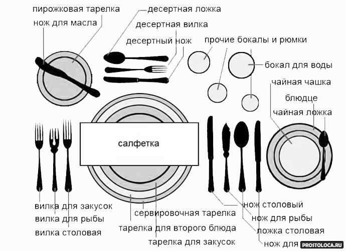 Как правильно есть устрицы: рецепты лучших моллюсков