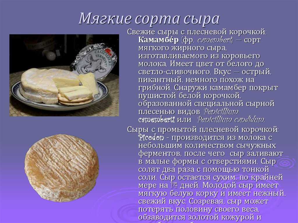 Как делают сыр: технология производства (процесс), история, оборудование для сыроварни, факты. марки сыров
