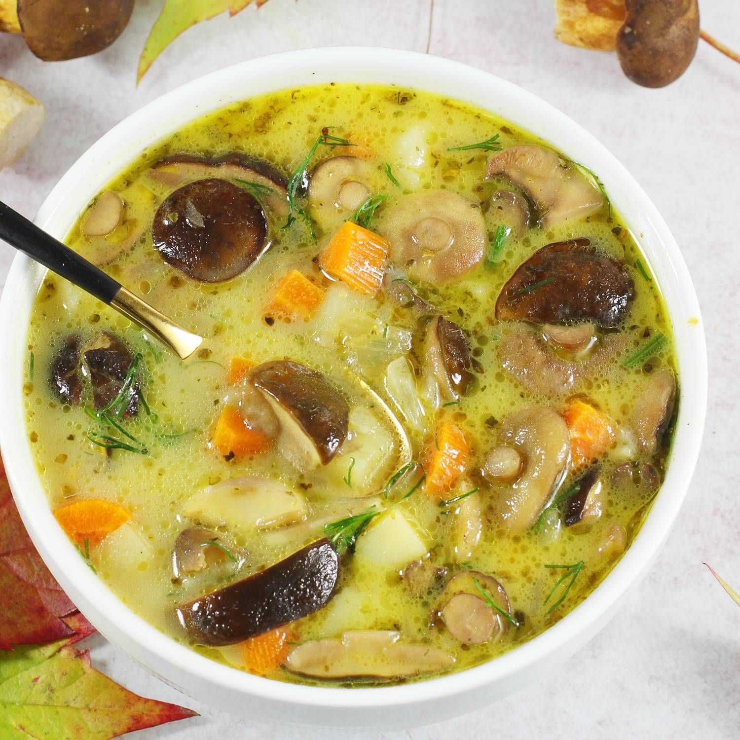 Грибной суп из сушеных грибов — самые вкусные рецепты