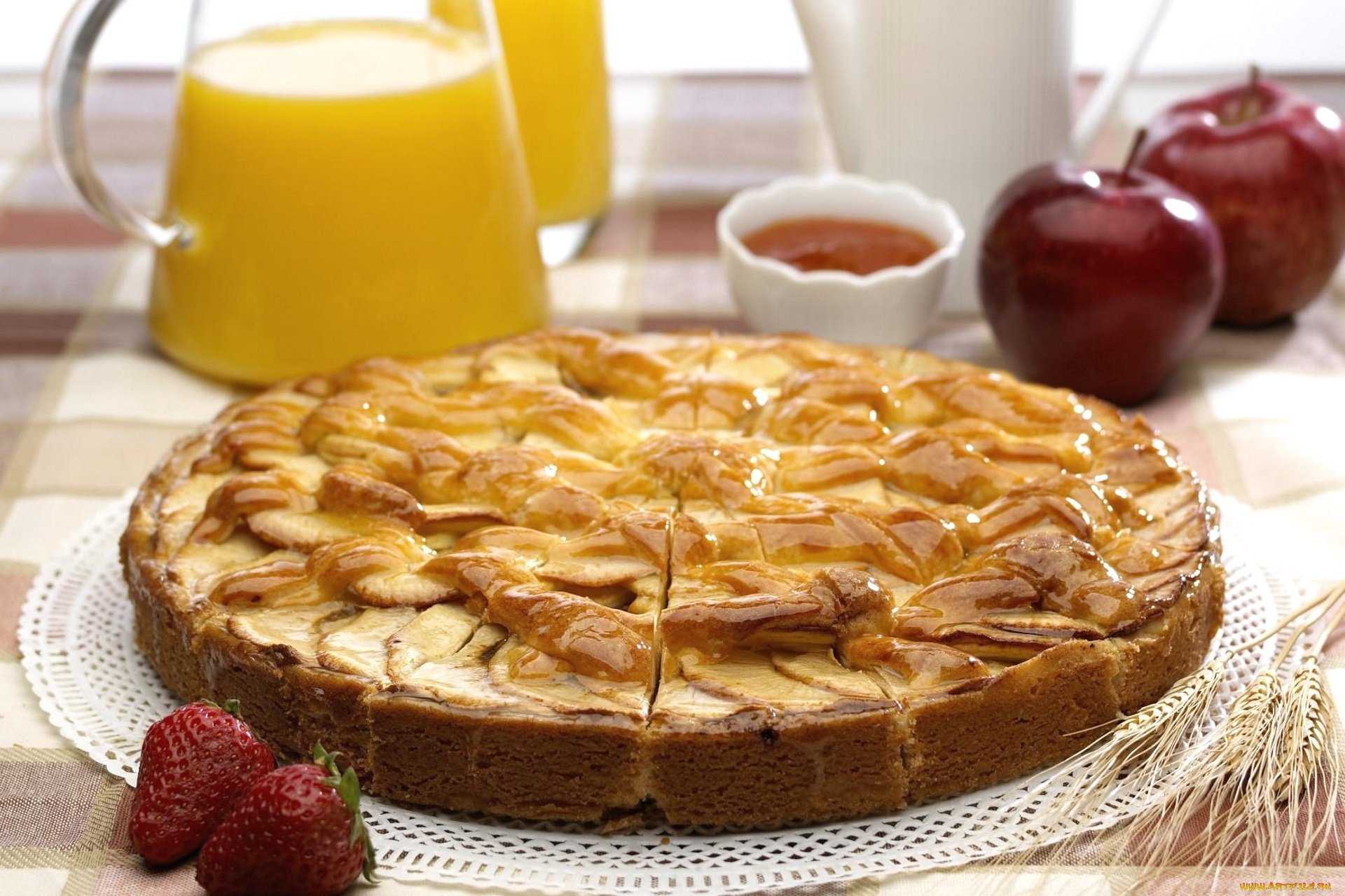 Шарлотка с яблоками в духовке, 5 простых рецептов с фото пошагово