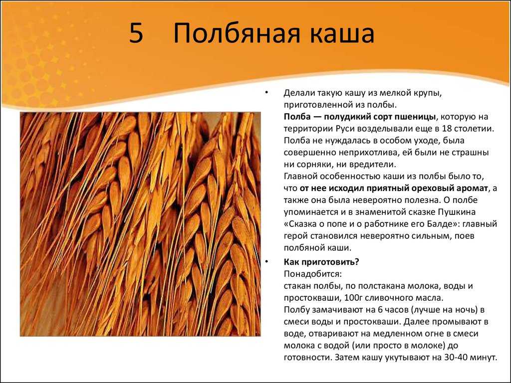 Полба — что это такое? как готовить эту крупу? рецепт каши и хлеба