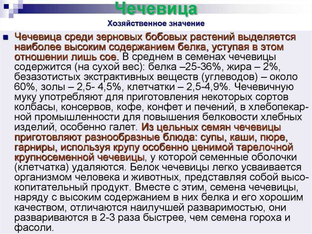 Как варить чечевицу: 4 способа приготовления и 3 примера блюд