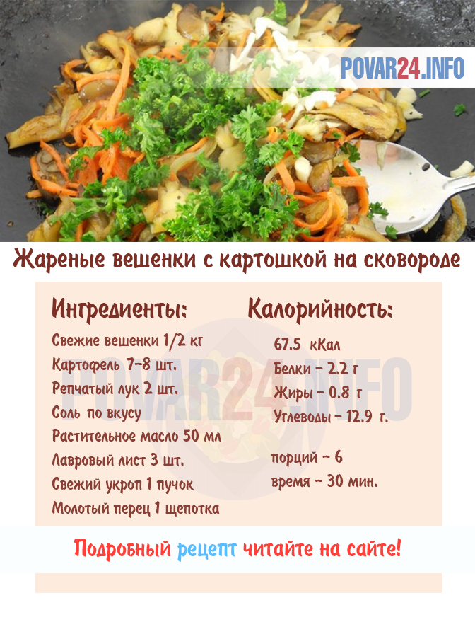 Грибы вешенки – как вкусно приготовить: рецепты, описание, полезные свойства