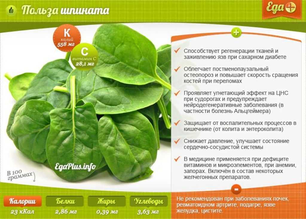Можно ли детям шпинат, с какого возраста