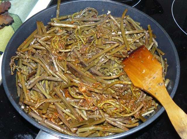 Рецепт папоротника с мясом жареный на сковороде. Жареный папоротник орляк. Папоротник орляк тушеный. Папоротник орляк соленый. Папоротник орляк блюда.