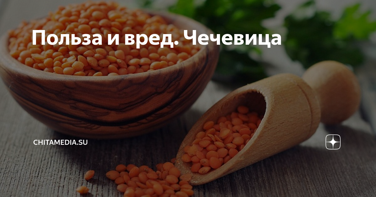 Чечевица
