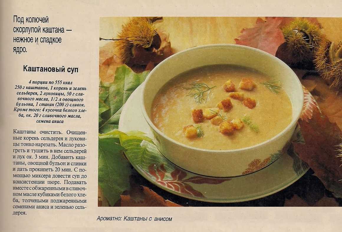 Кормящая мама какой суп. Каштановый суп. Овощной суп для кормящей мамы. Рецепты супов с описанием. Супы для кормящих матерей.