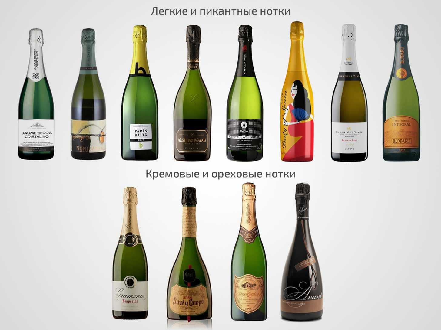 Большой гид по игристым винам. как появилось первое игристое вино