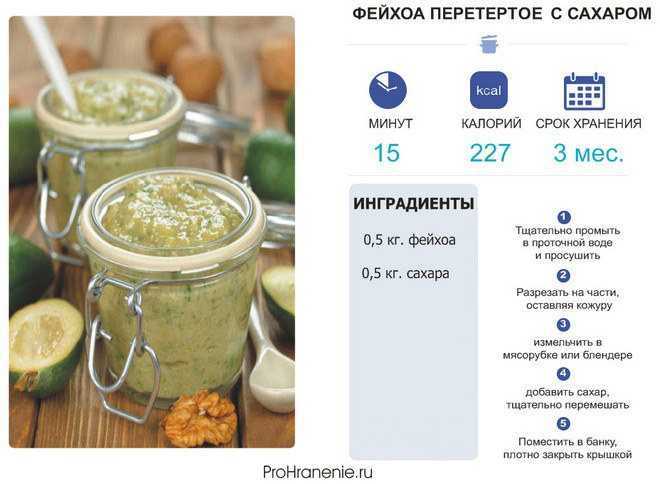 10 рецептов варенья из цветов, трав и зелени, которые можно варить весной